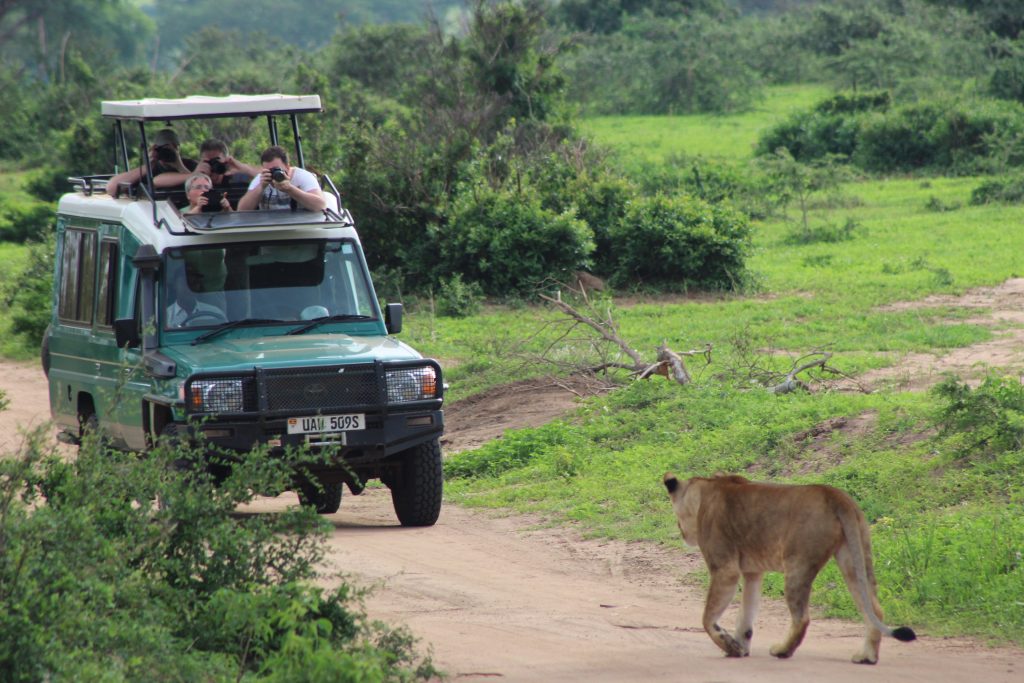 One Day Murchison Falls Safari Tour from Kampala