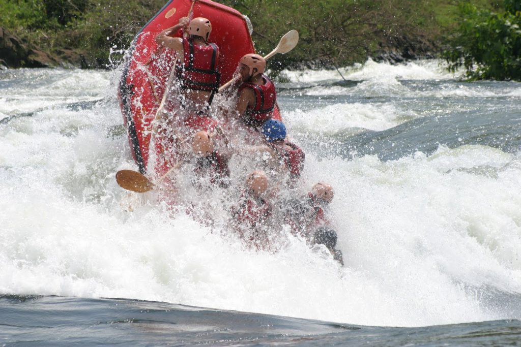 1 Day White Water Rafting Tour